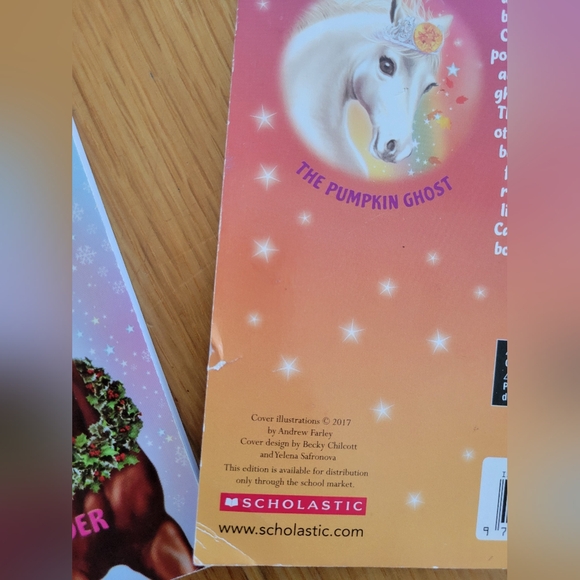 Chapter books bundle - mostly animal theme books - ponies, kitten, puppy, etc. - Picture 4 of 7